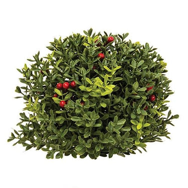 New England Boxwood With Berries Half Sphere, 8